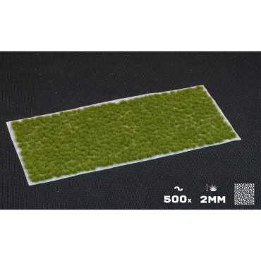 Tiny Tufts Dry Green