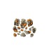 TauCeti - Basing Kit (16)