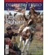 Desperta Ferro Moderna Nº 49: Little Bighorn 1876