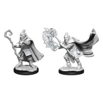 Critical Role Miniaturas sin pintar Hobgoblin Wizard and Druid Male