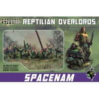 Reptilian Overlords: SpaceNam (20)