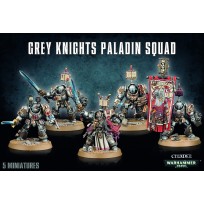 Grey Knights Paladin Squad (5)