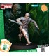 Assassin Snake
