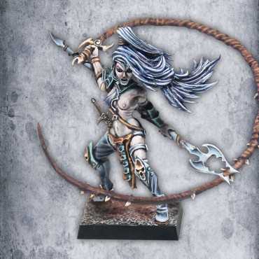 Dark Elf Beastmaster