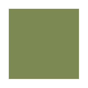 Verde Claro (85)