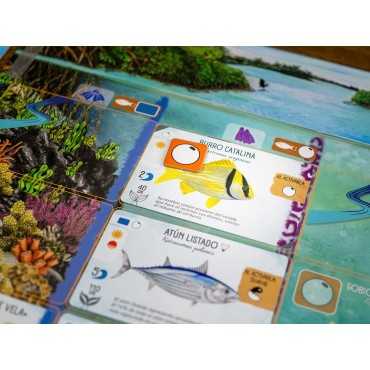 Finspan (Castellano)