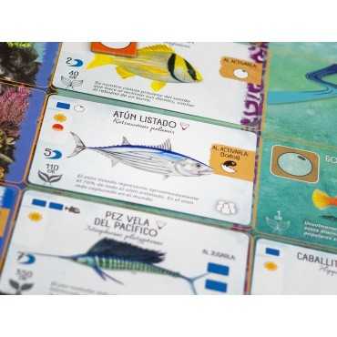 Finspan (Castellano)