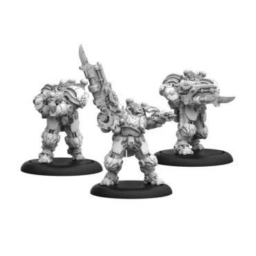 Warmachine: Cygnar Storm Legion Auxiliary Expansion