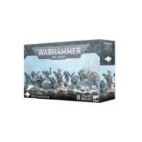 Space Wolves: Cazadores Grises