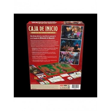Caja de inicio Dungeons & Dragons: Héroes de las Tierras Fronterizas