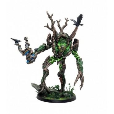 Moss Hermit