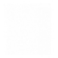 Rg 1/144 Shining Gundam