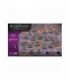 Zergling Zerg Expansion Set (Inglés)