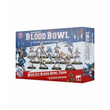Blood Bowl: High Elf Blood Bowl Team
