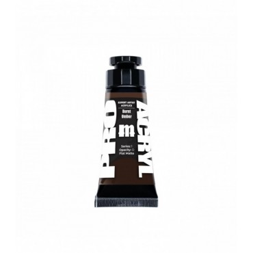 Expert Acrylics 007 - Burnt Umber
