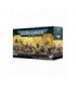 Orks: Chikoz -- Preorder --