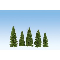 Fir Trees (5) 14-20cm