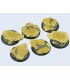 Shale Bases - Wround 40mm (2)