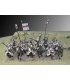Templa Knights Cavalry (12 Mounted Plastic Figures)