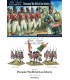 Napoleonic British Line Infantry (Peninsular)