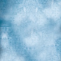 Mat - Frozen Planet - 120x120cm