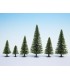 Model Spruce Trees (10)