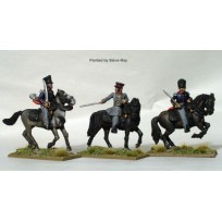 Mounted Field Officers