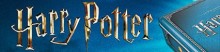 Harry Potter Miniature Game